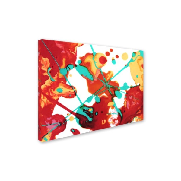 Amy Vangsgard 'Paint Party 1' Canvas Art,24x32